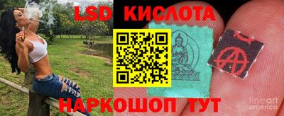 стафф Краснодар