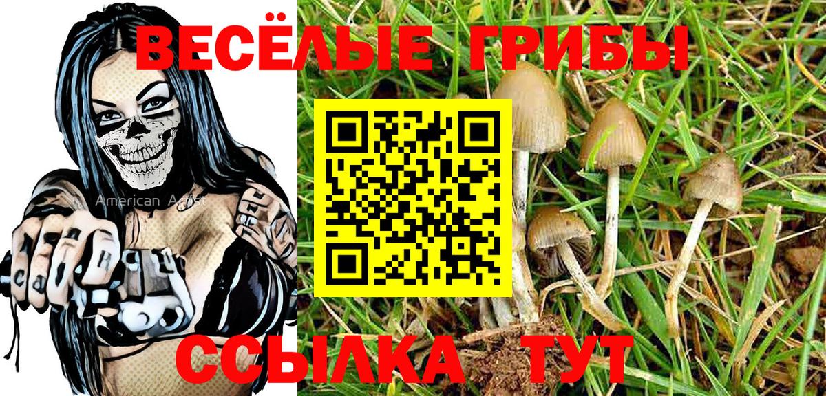 Галлюциногенные грибы GOLDEN TEACHER Коркино