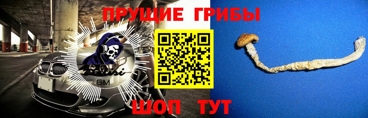 Коркино  Псилоцибиновые грибы Cubensis  Вход с VPN 